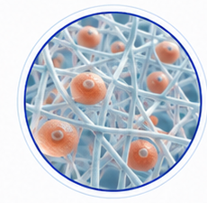 Matriz tridimensional